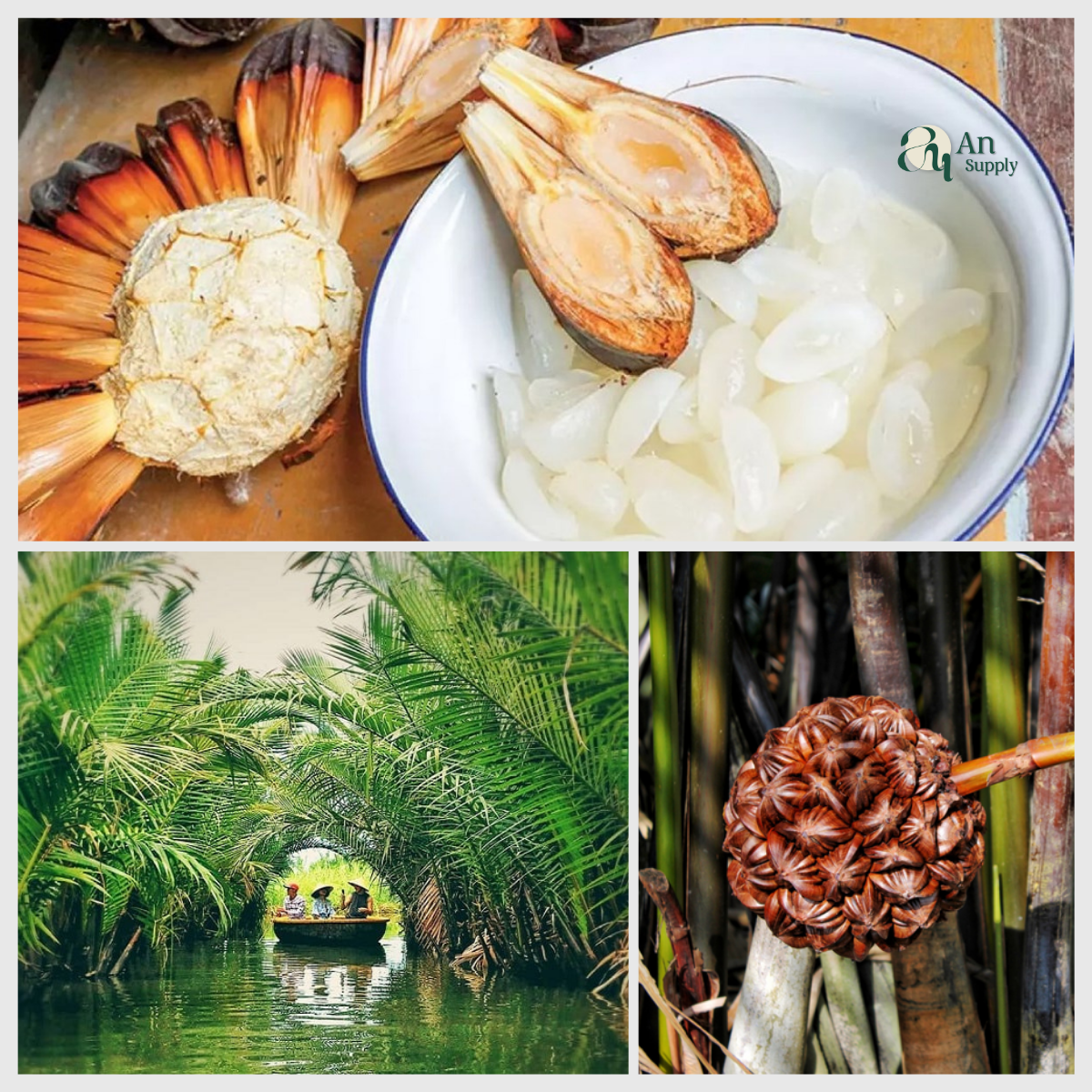 Nipa Palm Syrup & Sugar