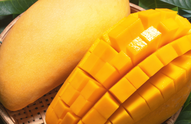 profile-web-3-1024×1024-1