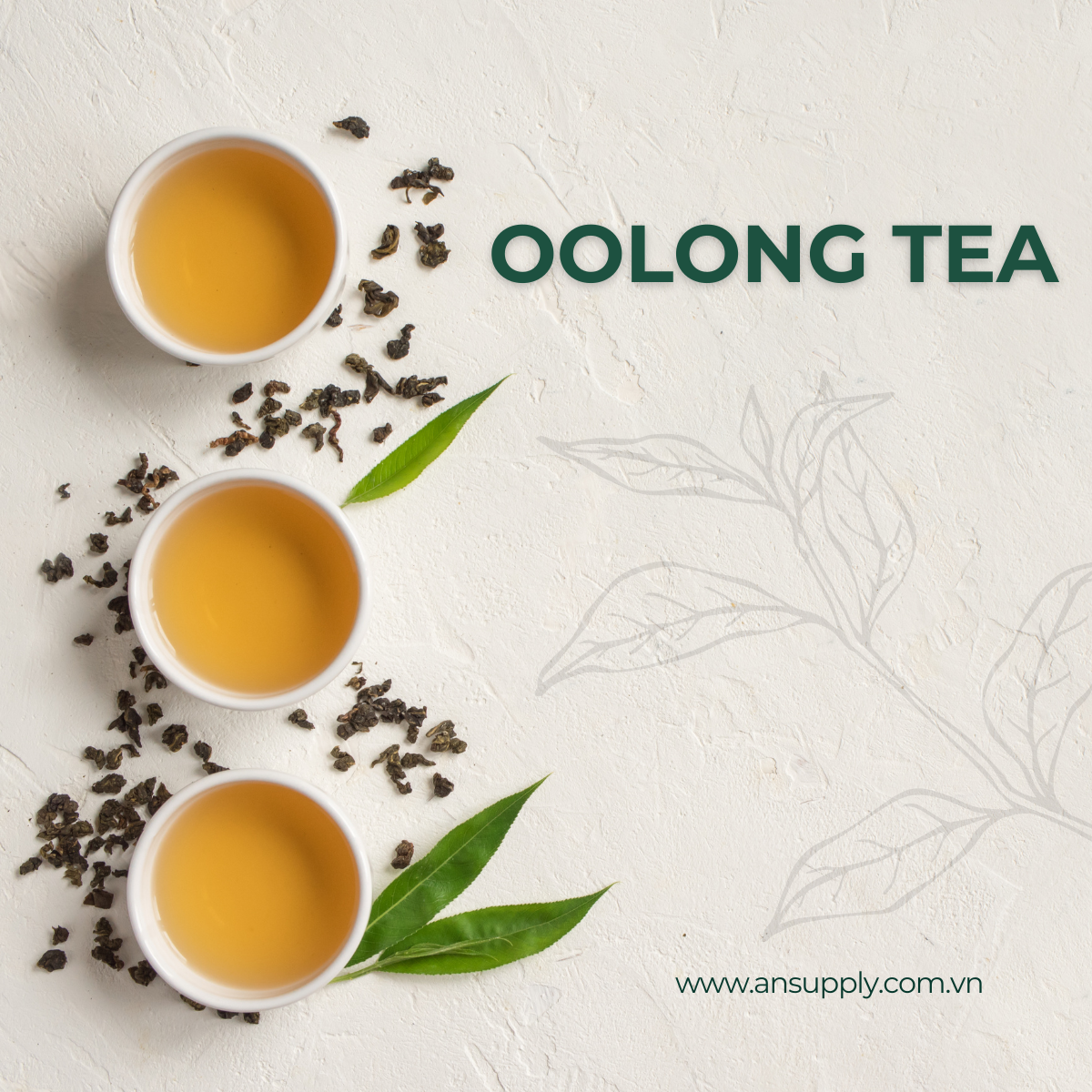 Oolong Tea