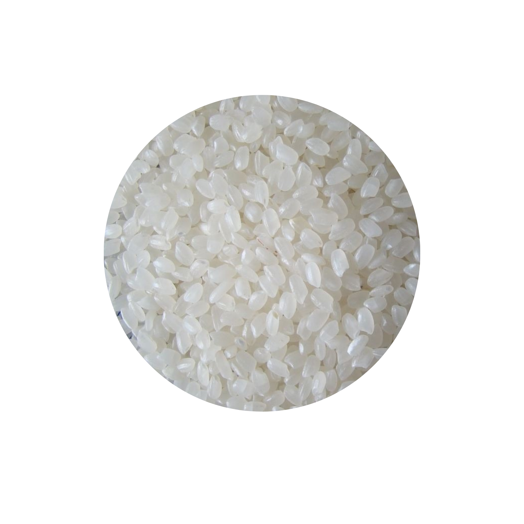 Vietnamese Japonica Rice