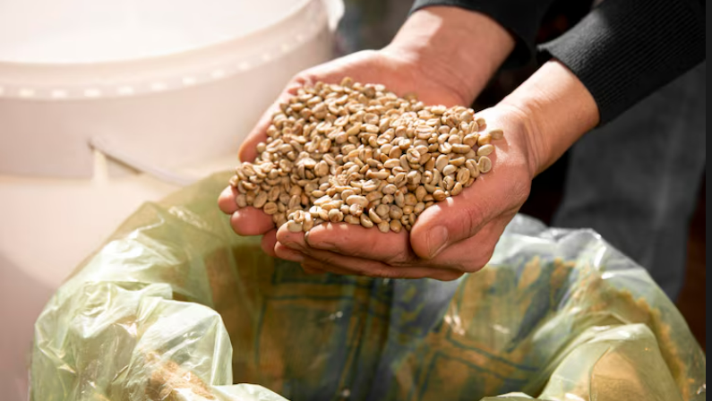 sustainable coffee packaging