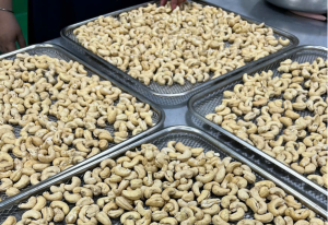 custom cashew snack R&D cashew grading and quality control process