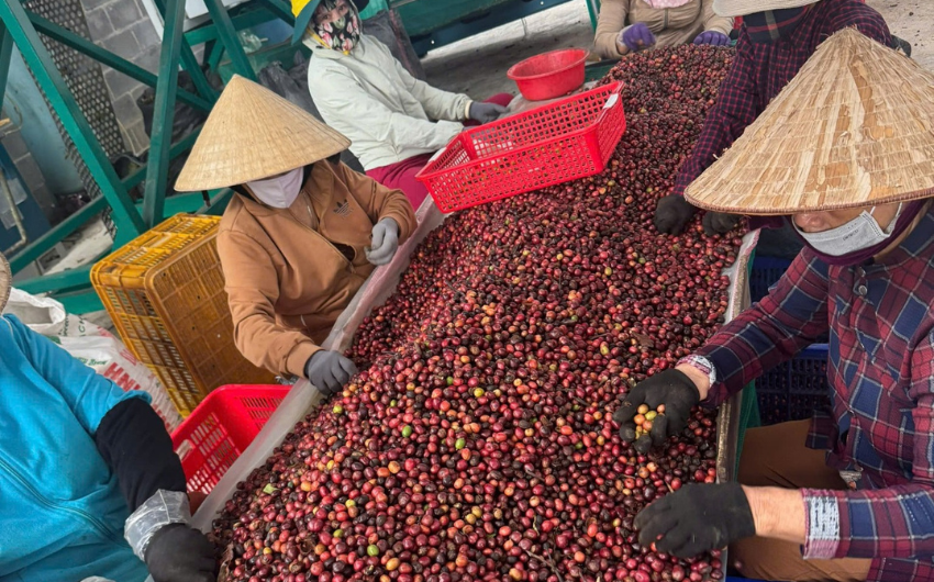Coffee quality control for regenerative coffee farming